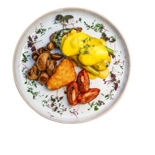 AHCBenedict WP 2 600x600 removebg preview